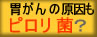 �݊��̌������s������