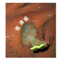 �s�����ہA�Ɩ����݉��A�ݒ�ᇁA�݊��̑����T�C�g